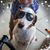 Marjorie Susan Clark's profile image
