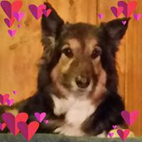 Lorie Cragle's profile image
