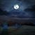 Angie Goins's profile image