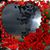 Amalia Gutierrez's profile image