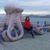 Rosa Camara's profile image