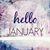 Janice Lamb-Bradshaw's profile image