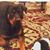 Jami Sizemore's profile image
