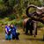 Grace Rauppius's profile image