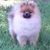 Joanne Camacho's profile image