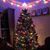 Anita Robinson Wolcott's profile image