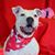 Cathy Welker Besser's profile image
