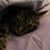 Tanya Conklin Whitehouse's profile image