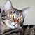 Jean Paul Pagette's profile image