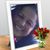 Calleros Lilly's profile image