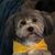 Carol Jo Noah's profile image