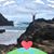Cindy Michael's profile image