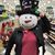 Mary Wheeler's profile image