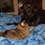 Sharon Mike Brown's profile image
