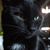 Dottie Gideon's profile image