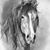 Anna Salini's profile image