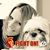Carol Jurecka's profile image