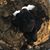 Dave Anderson's profile image
