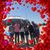Julieta Guerra's profile image