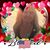 Jackie Romeo's profile image