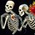 Shannon Alcorn's profile image