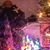 Karen L Kline Kronberg's profile image