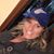 Dena Fields's profile image