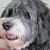 Kathy Addis's profile image