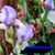Lisa Sagley's profile image