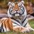 Martha Stinson's profile image