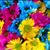 Rosemary Snuffer's profile image