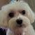 Terri Cummings's profile image