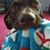 Debora Boe's profile image