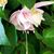 Michelle Arnold Tallman's profile image