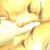 Amazona Artemisa's profile image