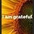Carolyn Fariello Goldstein's profile image