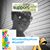 Kema Mekurinka Wilson's profile image