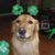 Amy Zillioux's profile image