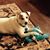 Michele Haidys Shantz's profile image