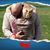 Mike Mckee's profile image
