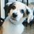 Julie Miller's profile image