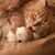Susan Tucker's profile image