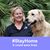Susu Fitzmaurice's profile image