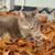 Theresa Collette Daponte's profile image