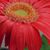 Karen Bressman's profile image