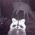 Larry Rice's profile image