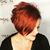 Gretchen MacCormack's profile image