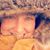 Sarah Jane Newman's profile image