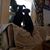 Wendi Summerville's profile image