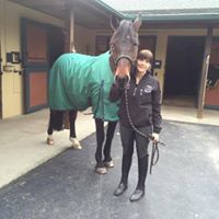Terri Bayer Hulse's profile image